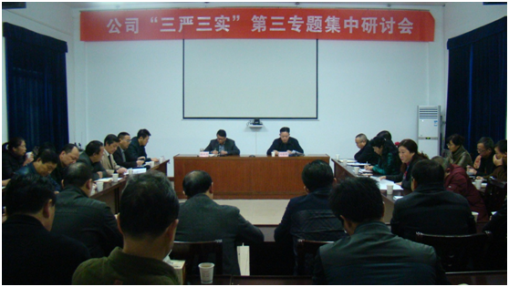 公司召開“三嚴(yán)三實(shí)”第三專題集中研討會