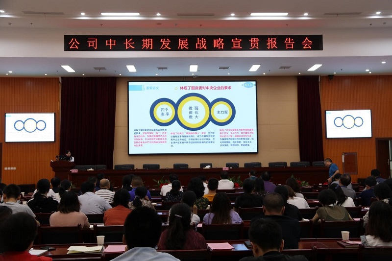 公司舉辦“中長期發(fā)展戰(zhàn)略、精細化管理和合規(guī)管理”宣貫 首場報告會