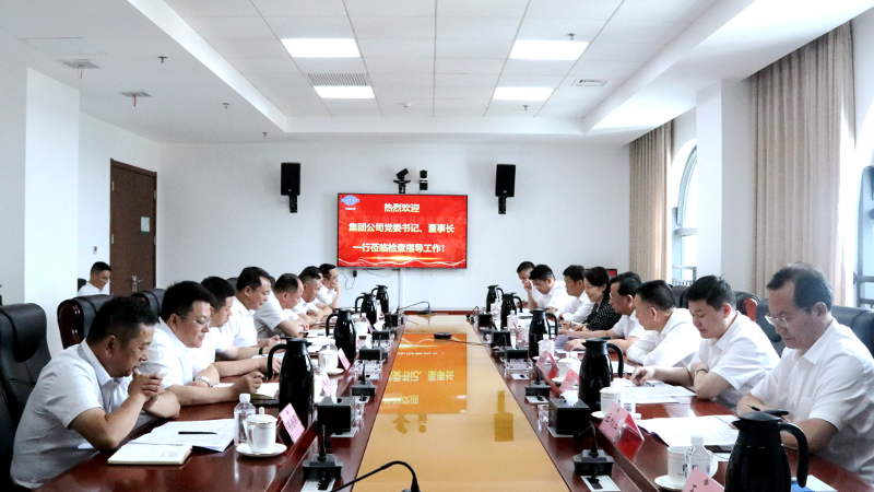 2022年6月，集團(tuán)公司黨委書記、董事長戴和根一行到公司調(diào)研指導(dǎo)工作